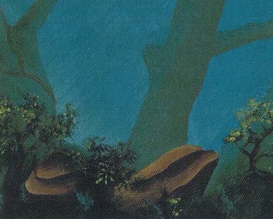 Forest — Christopher Rush