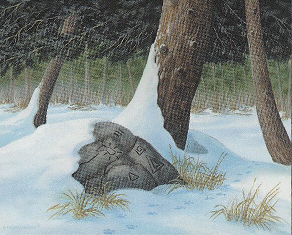Snow-Covered Forest
