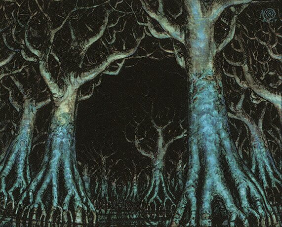 Skyshroud Forest